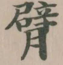 已定位臂