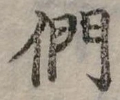 位置定マレル們