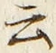 “云”字