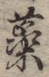 蕊の位置