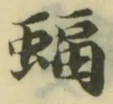 蝠の位置