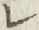 字レ