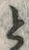 「と」字