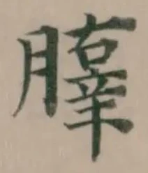䐻 위치 확인됨