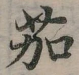 位置定マレル茄