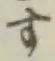 글자 す