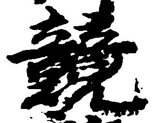 競 위치 확인됨