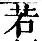 “若”字
