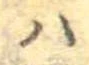 𛂞 위치 확인됨