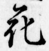 花 위치 확인됨