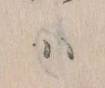 𛂞 위치 확인됨