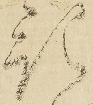位置 確認된 預