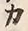 文字カ