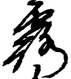 已定位露
