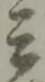 兵 위치 확인됨