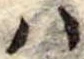 𛂞の位置
