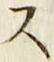 𡨸ス