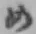 字め