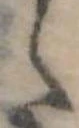 𛁠 위치 확인됨