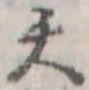 位置定マレル天