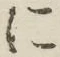 字に