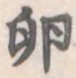 位置 確認된 卵