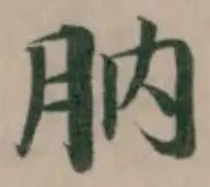 Đã định vị 肭