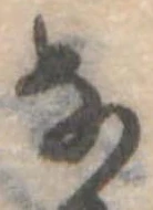 𛂂 위치 확인됨