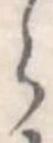 位置定マレル𛃰