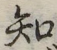 知 위치 확인됨