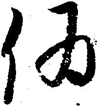 已定位偽