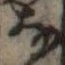 𛂂 위치 확인됨