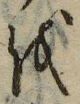 位置 確認된 𛄚