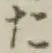 글자 た