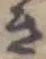 Đã định vị き