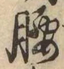 腰 위치 확인됨