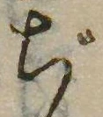 ぢ，已得其位