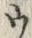 「ウ」字