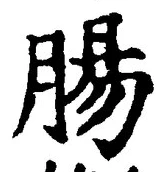 글자 腸