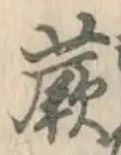 文字蕨