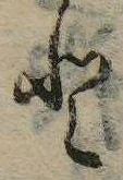 已定位𛁻