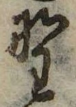 已定位野