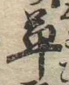 草 위치 확인됨