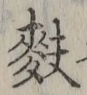 Chữ 麩