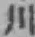 𡨸川