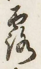 露の位置