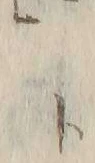 글자 ミ