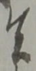 共 위치 확인됨