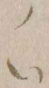 𡨸ノ