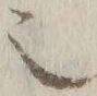 글자 也